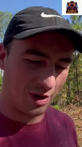 Brown Widow Spiders: More Toxic Than You Think?, Discover the fascinating  world of spiders! We explore the brown widow spider, its origins, and its  place among other venomous spiders. Learn about its ...