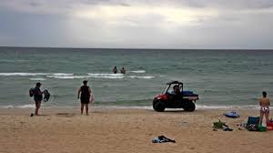 In 1962 england, a young couple find their idyllic romance colliding with issues of sexual freedom and societal pressure, leading to an awkward and fateful wedding night. Chelsea Shark Sighting Swimmers Evacuate Beaches Herald Sun