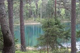 W naszej gminie jest 25 jezior z naturalnymi kąpieliskami. Ekosystemy Wodne Park Narodowy Bory Tucholskie National Parks Tree Park