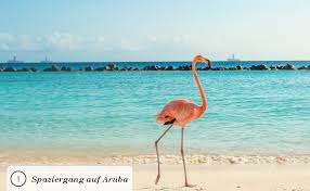 Sehr wichtig ist, das die wandfarbe über eine hohe deckkraft verfügt. Wanders24 Pastell Erlebnisse 2 5 Liter Flamingo Edelmatte Wandfarbe Feine Farben In 40 Farbtonen Wandfarbe Grau Made In Germany Amazon De Baumarkt