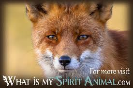 The latest articles written by fox business you will find only on entrepreneur.com signing out of account, standby. Fox Facts Songs Movies Trivia Mammal Animal Facts