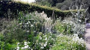 Yorkgate Garden Yorkshire White Garden Border White Gardens Garden Borders Garden Images