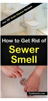 Pin By R Cols On Cleaning Tips Cleaning Hacks Vinegar Cleaning Smelly Drain