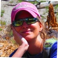 Patrick Nardulli Email & Phone Number