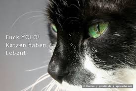Yolosprüche Die Besten Sprüche über Yolo Spruechenet