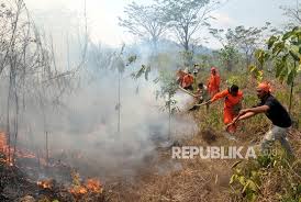 Hutan desa setianegara / konservasi lingkungan di indonesia jadi referensi negara g. 144 Hektare Lahan Gunung Ciremai Kembali Terbakar Republika Online