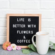 Little Wild Bloom Styled Brand Images Elena Sloup Photography Flower Quotes Inspirational Floral Quotes Flower Captions For Instagram