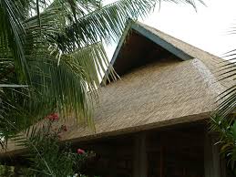 Our beautiful, natural african cape reed roof tiles are very aesthetically pleasing and allow air to flow through them. African Reed Thatch Palmex International
