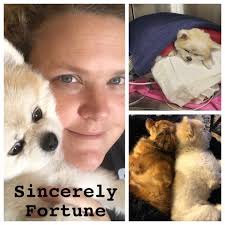 We've had a lot of people asking about Biggie's vet emergency and how he's  doing so we talk all things Biggie. It was the easiest way to address  everyone's questions. He's much