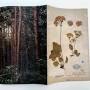 Profile Picture of Tree and Soil - Antoinette de Jong & Robert Knoth (@knothdejong.com) on Google