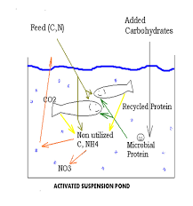 Biofloc Culture Vikaspedia