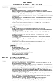 As senior finance manager, you will report to the managing director and a leader in the finance team to ensure smooth running of the entire finance operations as well as being responsible for financial reporting and financial. Manager Business Transformation Resume Samples Velvet Jobs