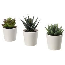 Fejka Saksili Yapay Bitki Kaktus 6 Cm Ikea Ev Dekorasyonu