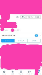 Twitterでフォローリクエストしてるのにずっとフォロー許可待ちです ブロッ Yahoo 知恵袋