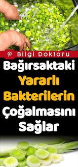 Bagirsak Temizleyici Besinler Bilgi Doktoru Natural Nutrition Healthy Fitness Natural Medicine