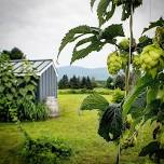 Gardening Lecture Series: History and Growing of Hops
