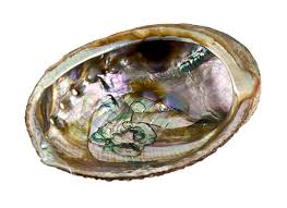 Hangs on a stainless steel Abalone Shell Wholesale
