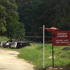 Ní dhearna @simpanhutan tweetáil go fóill. Hutan Simpan Bukit Lagong Other Great Outdoors