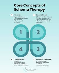 Image result for training effect schema