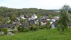Rolf halden, ph.d., p.e., is director of the center for environmental health engineering at the biodesign in his research, halden detected antimicrobial additives of personal care products, used. Halden Tg Wikipedia