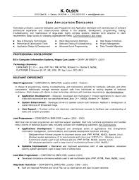 computer programmer resume sample
