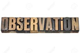 Image result for OBSERVATION