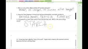 Answers Photosynthesis Worksheet Youtube