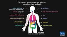 Smoking and Tobacco Use | Smoking and Tobacco Use | CDC