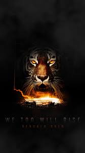 Check out this fantastic collection of cincinnati bengals wallpapers, with 44 cincinnati bengals background images for your desktop, phone or tablet. Cincinnati Bengals Wallpaper 2019 1124x2000 Wallpaper Teahub Io