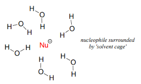 Solved Strong Nucleophile/ Weak Base Strong Nucleophile/ | Chegg.Com