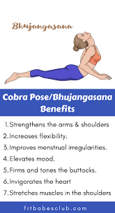 How To Do Cobra Pose And Benefits Yoga Facts Yoga Information Easy Yoga Workouts