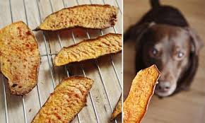 Gateries Sante Maison Pour Chiens Filets De Patate Douce Dog Food Recipes Dog Biscuit Recipes Pet Treats Recipes