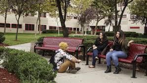 Riccucci to deliver 2021 herbert simon award lecture during annual conference. Housing Residence Life Rutgers Newark Student Affairs