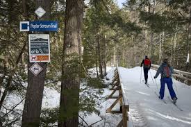 These huts deep in the woods offer skiers hot homemade meals