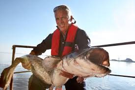 Chernobyl mutations fish in pripyat river near chernobyl nuclear power plant. Jeremy Wade S New Tv Series Bonus Picture 3 Angler S Mail