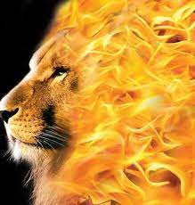 The King Of Kings Tribe Of Judah Lion Of Judah Prophetic Art