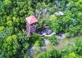 Hutan bakau yang merupakan kedua terbesar di dunia adalah. Kepulauan Hutan Paya Bakau Kedua Terbesar Di Dunia Terletak Di Johor Salamwebtoday