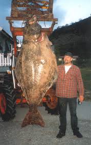 Biggest Fish Ever Caught Sport Fishing Magazine