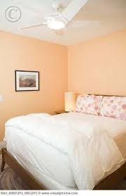 Lighter tints of peach pair beautifully with pastel colors such as mint green. 30 Apricot Walls Ideas Interior Home Decor Design