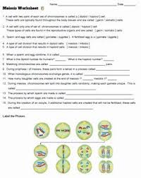 Meiosis Worksheet Vocabulary Answers Luxury Meiosis Worksheet Key By Biologycorner Meiosis Worksheets Shape Tracing Worksheets