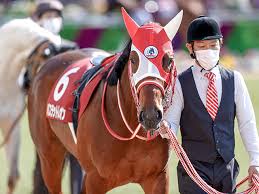 Nhkマイルカップ 競馬 nhkマイルカップ 競馬 nhkマイルカップ 競馬 nhkマイルカップ 競馬 nhkマイルカップ 競馬 nhkマイルカップ 競馬 nhkマイルカップ 競馬. Yood 99imzs66m