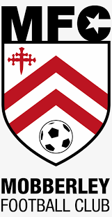 Create a new shopping list. Mfc Team Football Logo Transparent Png 1539x2921 Free Download On Nicepng
