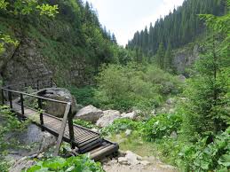 Am fost pe 1 august la cheile zanoagei si cascada 7 izvoare impreuna cu mihai si echipa lui de asistenti, care chiar erau preocupati ca toata lumea sa fie ok sau. Cheile Zanoagei Lacul Scropoasa Capat Cheile Orzei Cascada 7 Izvoare Blogul Lui Marian