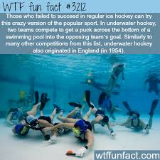 Underwater Hockey Wtf Fun Facts Fun Facts Wtf Fun Facts Funny Facts
