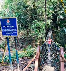 Bukit gasing is a tropical forest reserve located on the border between kuala lumpur and petaling jaya, selangor in malaysia. A Jungle In The City Bukit Gasing Happy Go Kl