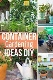Home Grown In Containers 10 Container Vegetable Gardening Ideas Container Gardening Vegetables Gardening For Beginners Vegetable Garden Planner