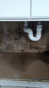 mold under the kitchen sink picture