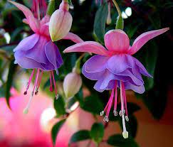 Pin On Beautiful Pictures