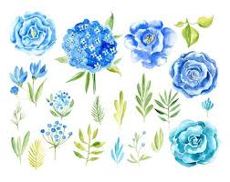 Each bloom lasts but a day, but the plant stays in bloom for a while since it produces so many — not only in blue but also clear yellow, depending on the variety. Watercolor Floral Clipart Dusty Pink Blue Yellow Flowers Roses Etsy Floral Watercolor Blue Flowers Images Flower Doodles