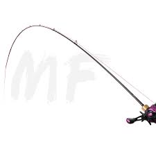 Tsurinoya Dragon 2 Sections Light Fishing Rod 1 89m 1 98m 2 04m 2 1m Spinning Baitcasting Fishing Rod L Power Fishing Pole Fishing Rods Aliexpress